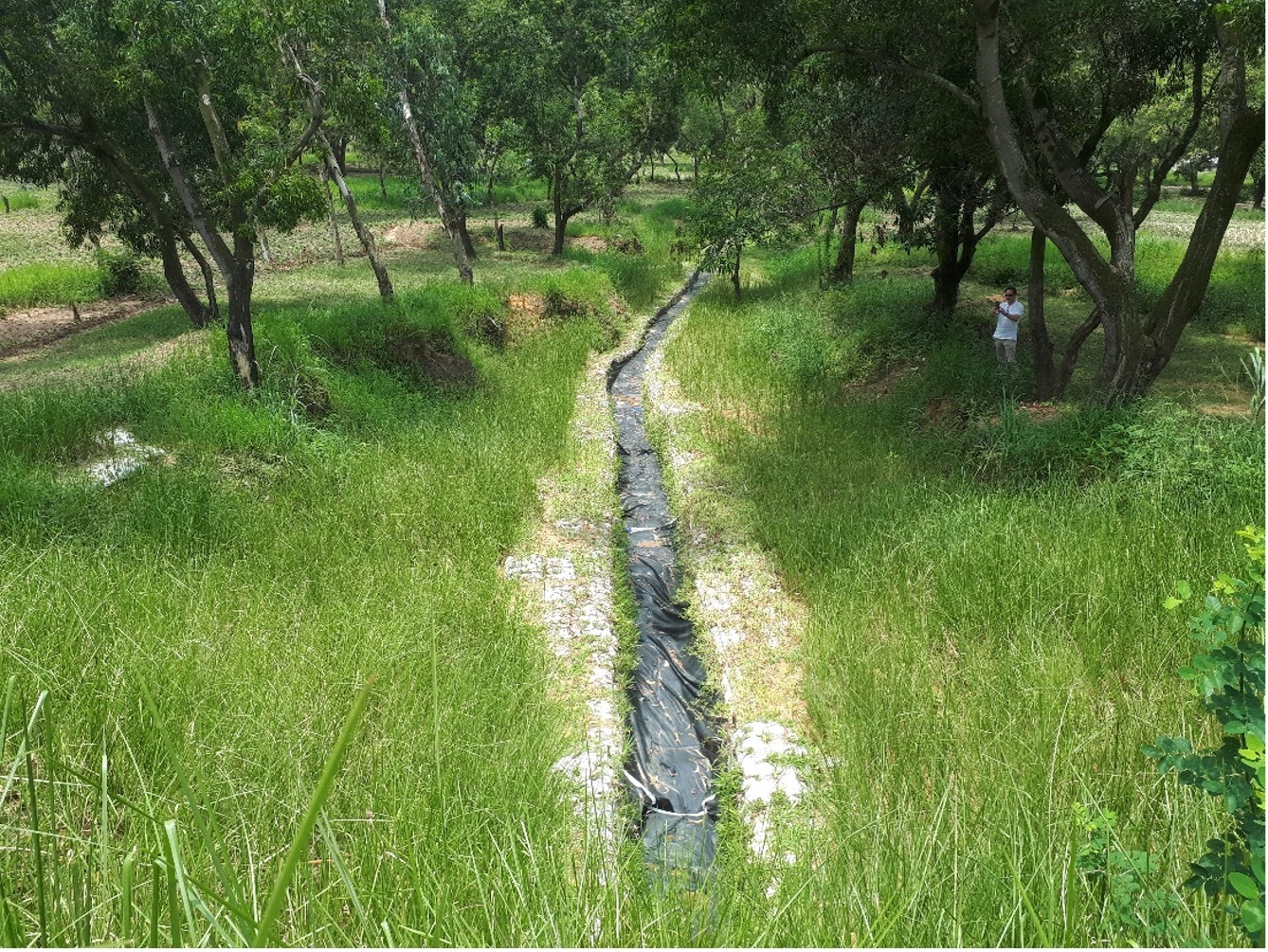 Figure 10: Erosion control project in Kinshasa’s Kimwenza area. Source: World Bank 