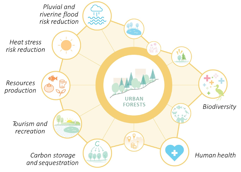 Figure 7: Benefits provided by urban forests. Source: A Catalogue of Nature-Based Solutions for Urban Resilience.