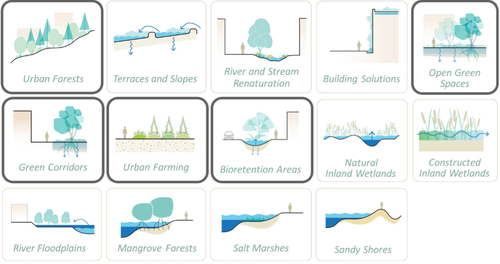 Step 1 - Understanding the problem: The objectives and scope of the NBSOS are defined in a consultation process with the project team. In this process, the area of interest is determined, which can vary from a small urban area to a larger catchment around the city of several hundred kilometers squared. The consultation process also identifies the main objectives and typically four or five locally relevant types of NBS interventions are selected from the 14 different NBS types that are described in the Catalogue of Nature-Based Solutions for Urban Resilience (Figure 4).
